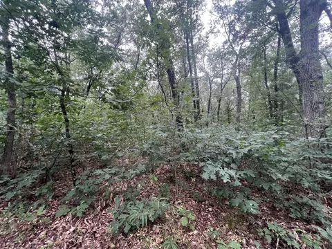 Lot 52 Winesap Rd, Baldwin, MI 49304 photo 9