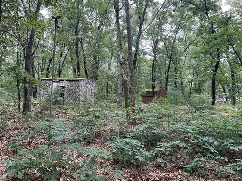 Lot 52 Winesap Rd, Baldwin, MI 49304 photo 6