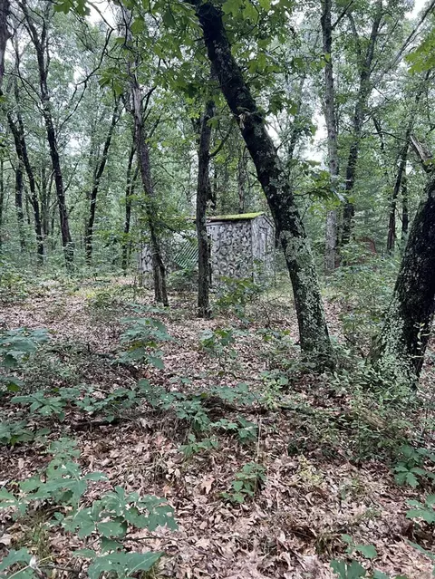Lot 52 Winesap Rd, Baldwin, MI 49304 photo 5