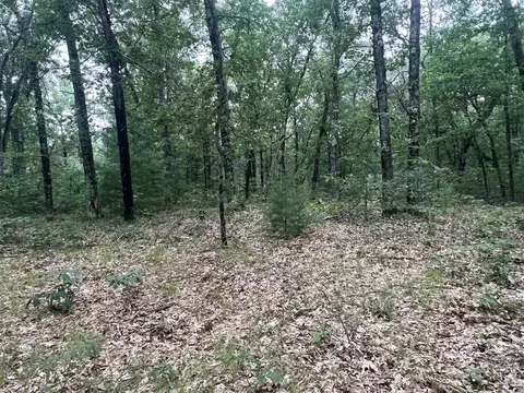 Lot 52 Winesap Rd, Baldwin, MI 49304 photo 8