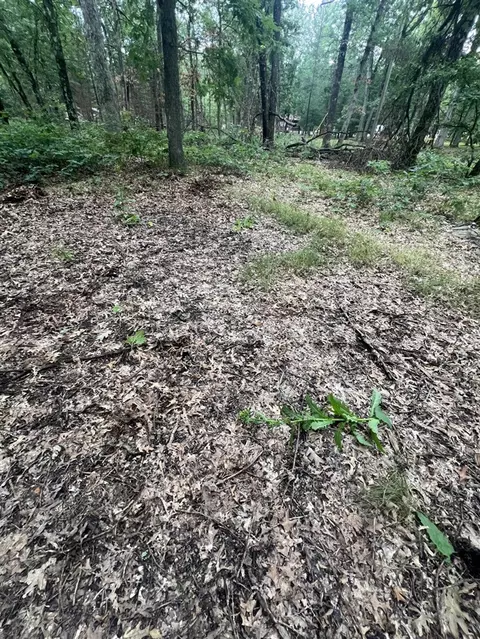 Lot 52 Winesap Rd, Baldwin, MI 49304 photo 2