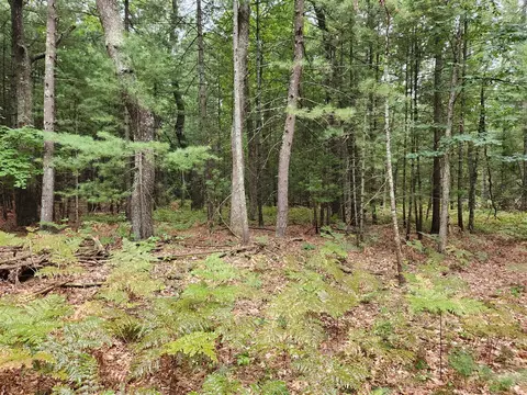 2048 E Oak, Newaygo, MI 49337 photo 2