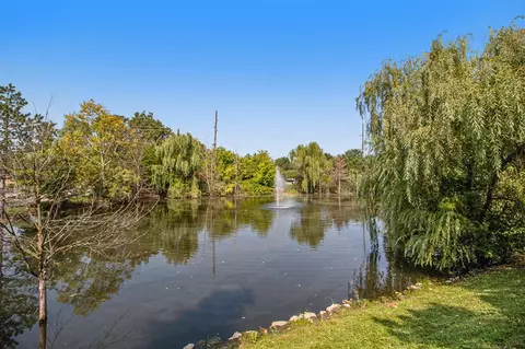 View/Area - 41362 Maplewood, Canton, MI 48187 photo 1 of 1
