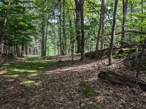 Hill, Manistee, MI 49660