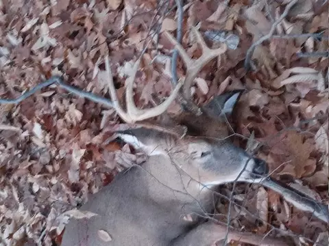 18207 4 Mile #PAR 1, Morley, MI 49336 photo 6