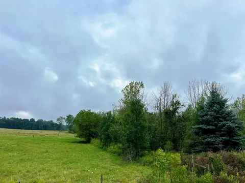 18207 4 Mile #PAR 1, Morley, MI 49336 photo 11