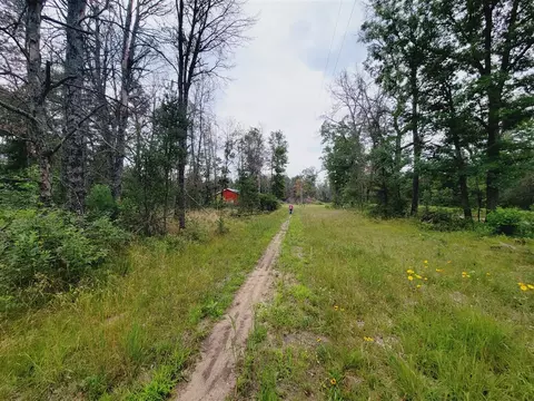 V/l S James, Baldwin, MI 49304 photo 6
