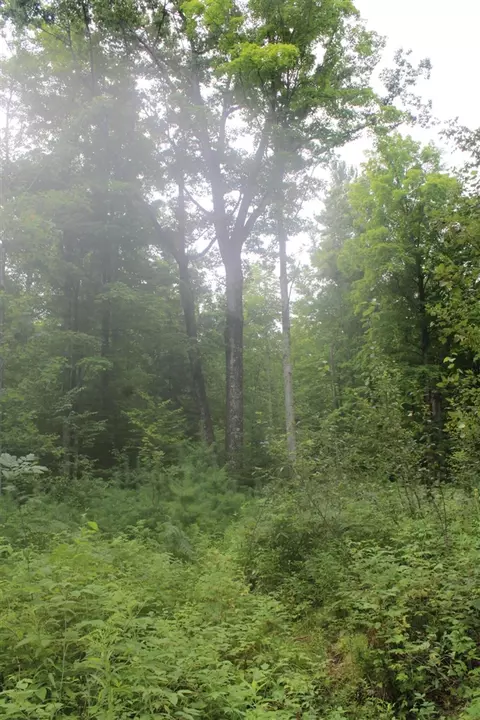 0 Vl Moores Landing Rd, Lachine, MI 49753 photo 20
