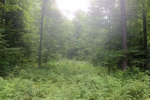 0 Vl Moores Landing Rd, Lachine, MI 49753 photo 21