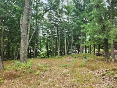 8310 N Perch, Bitely, MI 49309 photo 15