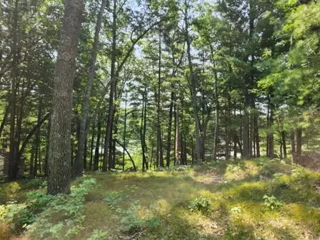 8310 N Perch, Bitely, MI 49309 photo 4