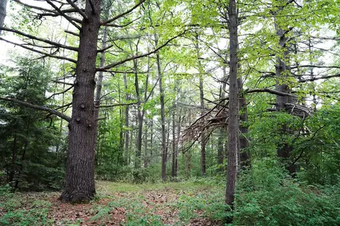 0 Oak, Leland, MI 49654