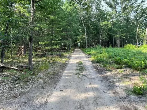11627 S Box Elder, Baldwin, MI 49304 photo 8