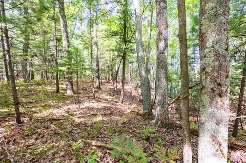 lot91 Oxeye Ave, Baldwin, MI 49304 photo 4