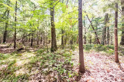 lot91 Oxeye Ave, Baldwin, MI 49304 photo 5