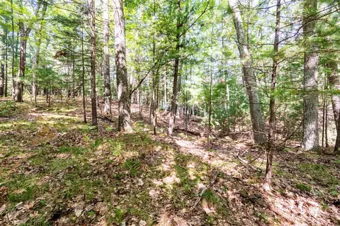 lot91 Oxeye Ave, Baldwin, MI 49304 photo 6