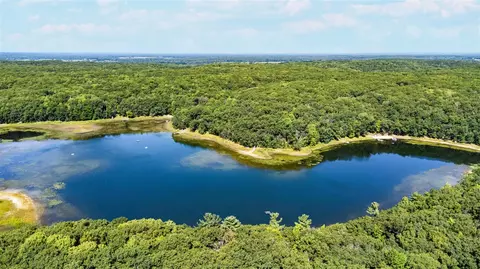 lot91 Oxeye Ave, Baldwin, MI 49304 photo 3
