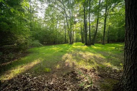 emerald ridge, Onekama, MI 49675 photo 18