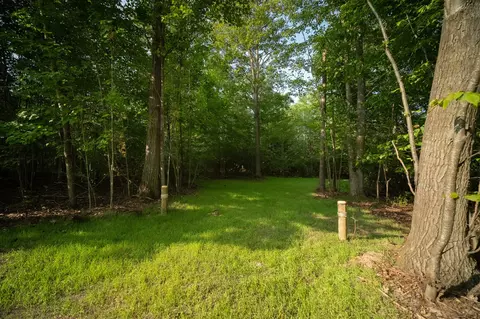 emerald ridge, Onekama, MI 49675 photo 4