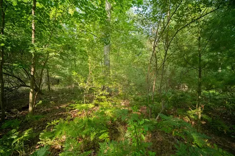 emerald ridge, Onekama, MI 49675 photo 10