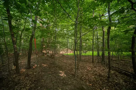 emerald ridge, Onekama, MI 49675 photo 11