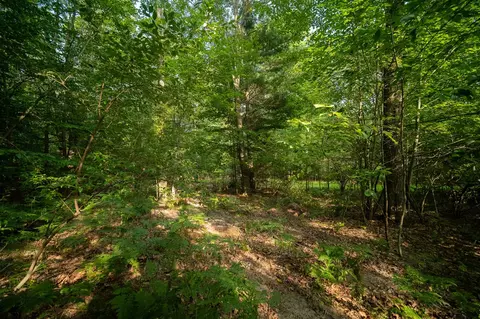 emerald ridge, Onekama, MI 49675 photo 16