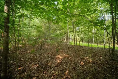 emerald ridge, Onekama, MI 49675 photo 12