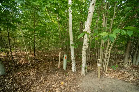 emerald ridge, Onekama, MI 49675 photo 8