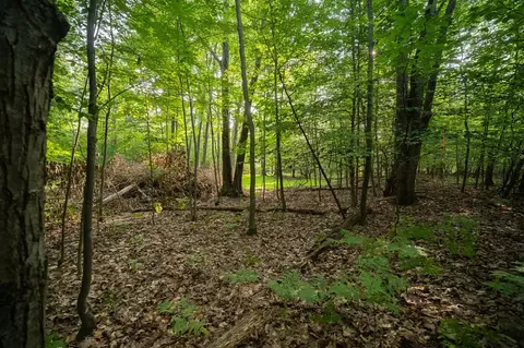emerald ridge, Onekama, MI 49675 photo 17