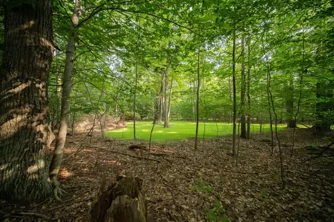 emerald ridge, Onekama, MI 49675