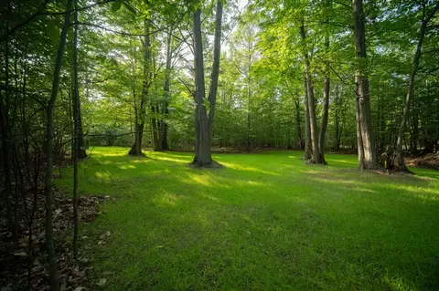 emerald ridge, Onekama, MI 49675 photo 2