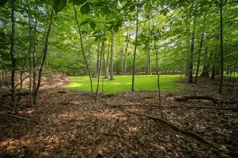 emerald ridge, Onekama, MI 49675 photo 6