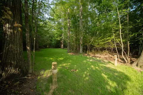 emerald ridge, Onekama, MI 49675 photo 5