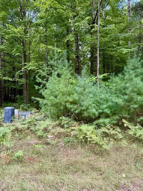 6832 White Pne, Canadian Lakes, MI 49346