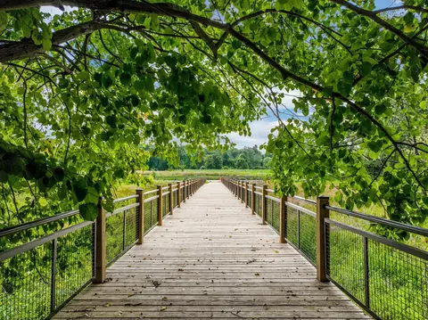 Other - 523 Boardwalk, Dexter, MI 48130 photo 6 of 7