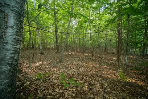 emerald ridge, Onekama, MI 49675 photo 20