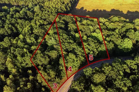 emerald ridge, Onekama, MI 49675 photo 30