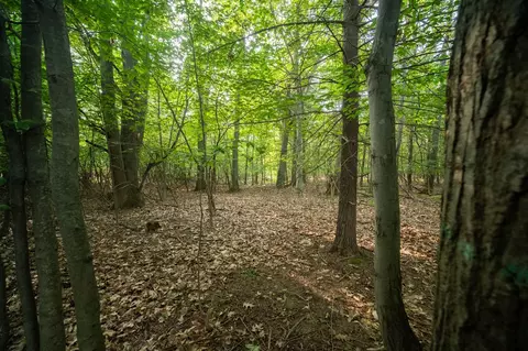 emerald ridge, Onekama, MI 49675 photo 22