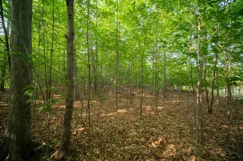 emerald ridge, Onekama, MI 49675 photo 17