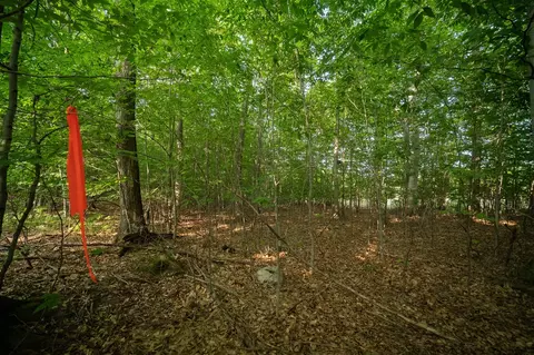 emerald ridge, Onekama, MI 49675 photo 16