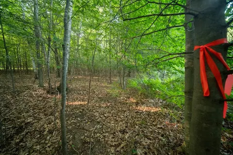 emerald ridge, Onekama, MI 49675 photo 19