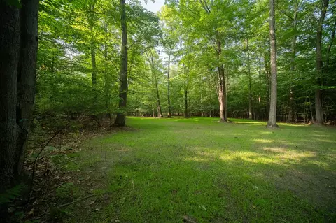 emerald ridge, Onekama, MI 49675 photo 15