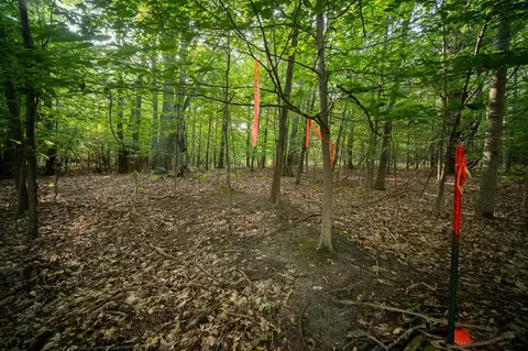 emerald ridge, Onekama, MI 49675 photo 23