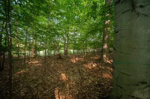 emerald ridge, Onekama, MI 49675 photo 9