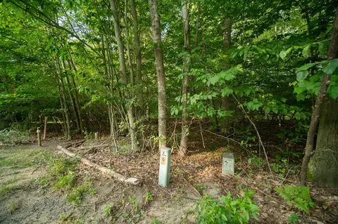 emerald ridge, Onekama, MI 49675 photo 6