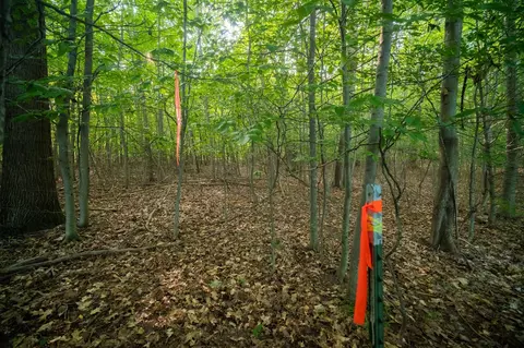 emerald ridge, Onekama, MI 49675 photo 21