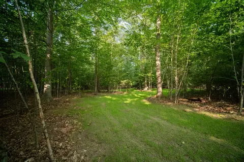emerald ridge, Onekama, MI 49675 photo 7