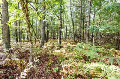 lot S 9-12 25-28 W Central Park, Baldwin, MI 49304 photo 3