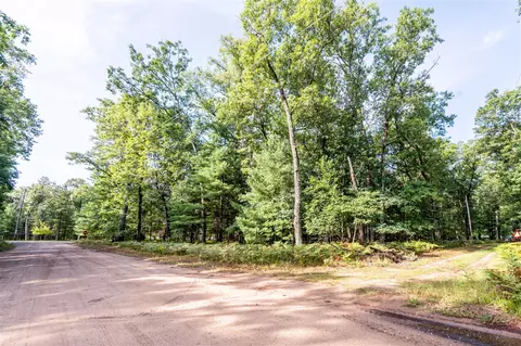 lot S 9-12 25-28 W Central Park, Baldwin, MI 49304 photo 5