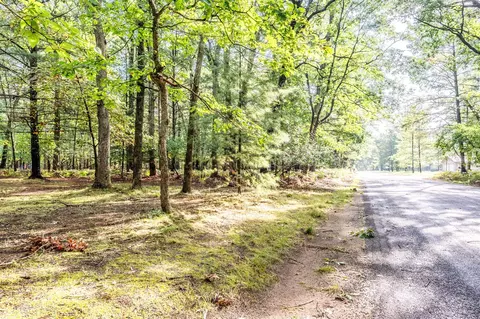 lot S 5-8 29-32 Central Park Blvd, Baldwin, MI 49304 photo 2